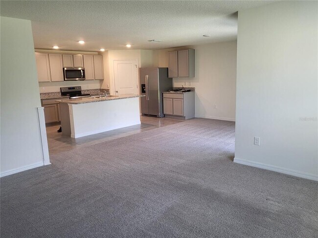 38336 Sonnet Landing Ave in Zephyrhills, FL - Building Photo - Building Photo