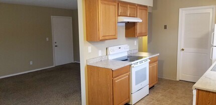310 Ellen Ave, Unit 3 in Savoy, IL - Building Photo - Building Photo