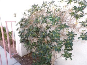 5121 Briar Meadow Way in Las Vegas, NV - Building Photo - Building Photo