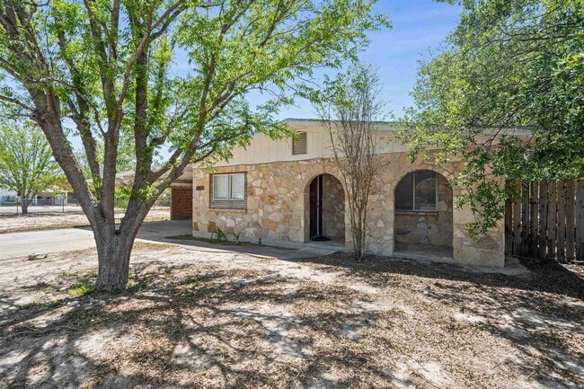 1007 E 2nd St in Del Rio, TX - Building Photo - Building Photo