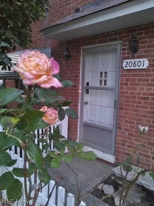 20801 Crystal Ave in Euclid, OH - Building Photo - Building Photo