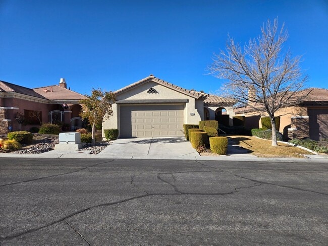 11226 Blanc Vineyard Ct in Las Vegas, NV - Building Photo - Building Photo