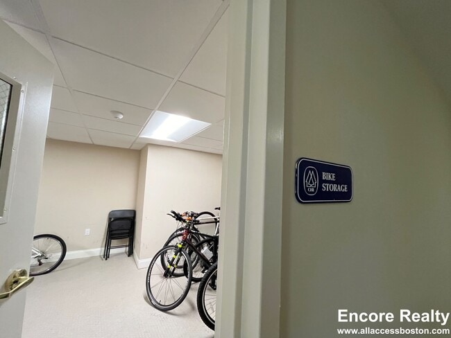 24 Chauncy St, Unit 8 in Cambridge, MA - Building Photo - Building Photo