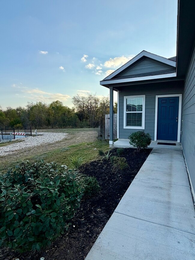 2821 Dezmond Diamond Ct in Pflugerville, TX - Building Photo - Building Photo