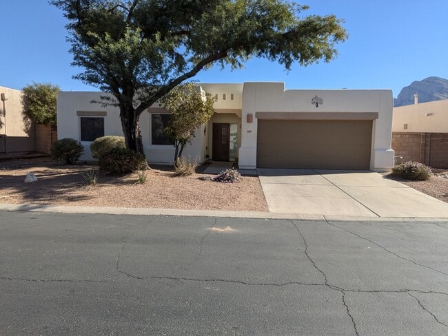10278 N Mineral Spring Ln in Tucson, AZ - Building Photo - Building Photo