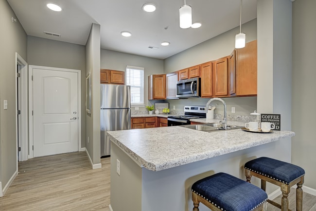 Preserve on Blue Road Apartments