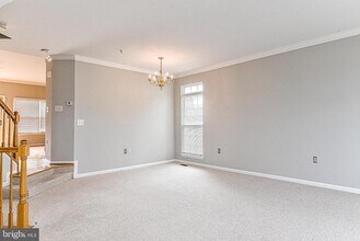 6237 Frosty Winter Ct in Centreville, VA - Building Photo - Building Photo