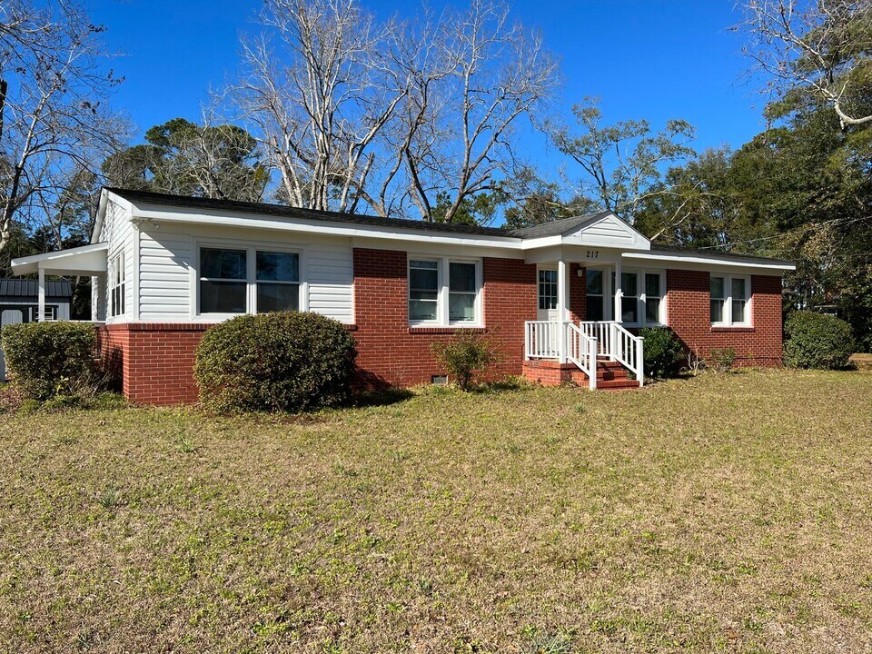 217 Myrtle Ave in Wilmington, NC - Building Photo