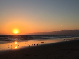 33 Paloma Ave, Unit #1 in Los Angeles, CA - Building Photo