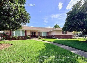 8602 Amber Oak Dr in Orlando, FL - Building Photo - Building Photo