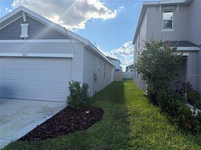 5675 Chorleywood Ln in Wesley Chapel, FL - Building Photo - Building Photo
