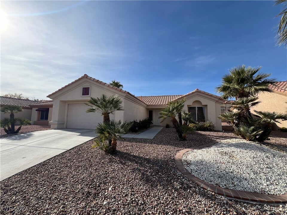 3009 Cradle Mountain Dr in Las Vegas, NV - Building Photo