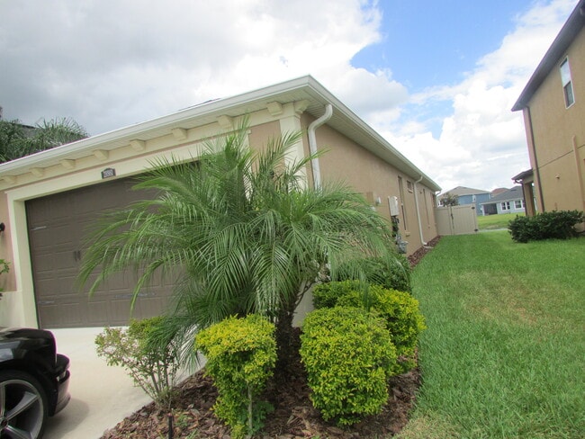 28981 Trevi Plz in Zephyrhills, FL - Foto de edificio - Building Photo