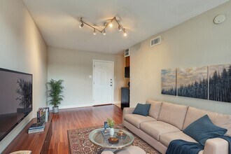 2020 S Congress Ave in Austin, TX - Building Photo - Building Photo