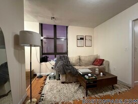 81 Essex St, Unit 51 in Boston, MA - Building Photo