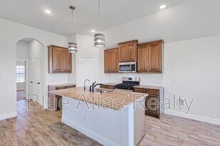 3008 Bobcat Dr in Melissa, TX - Building Photo