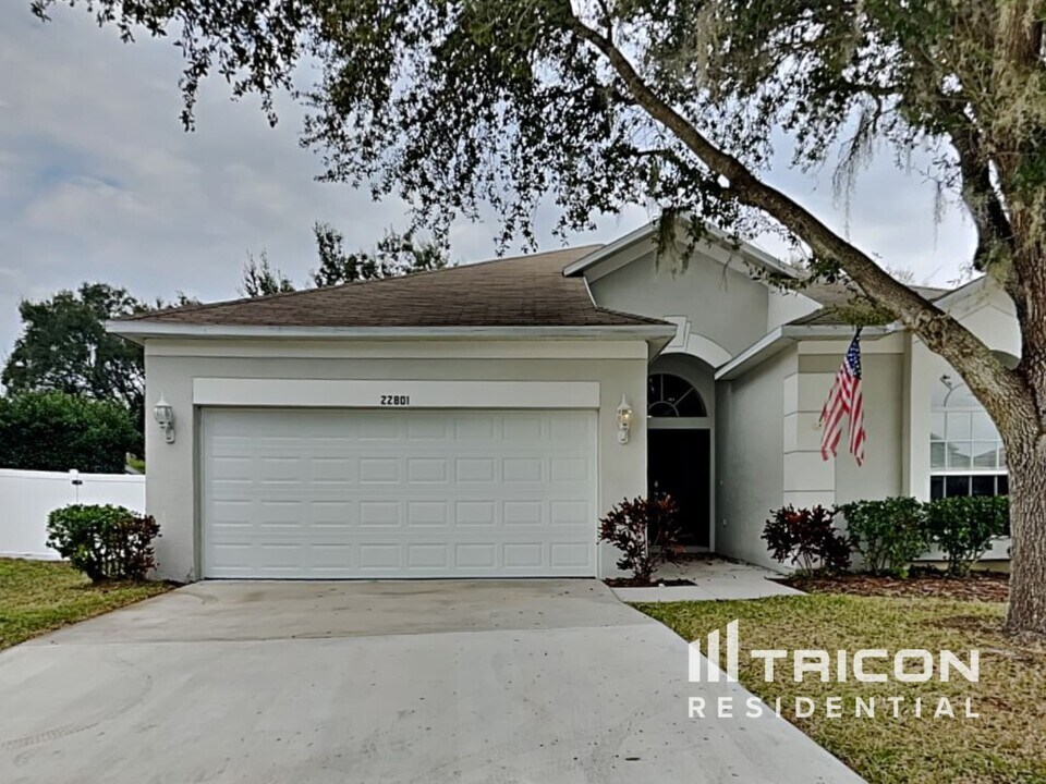 22801 Marsh Wren Dr in Land O Lakes, FL - Building Photo