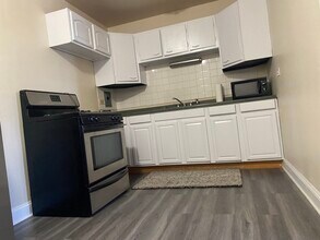 2411 W Balmoral Ave in Chicago, IL - Building Photo - Building Photo