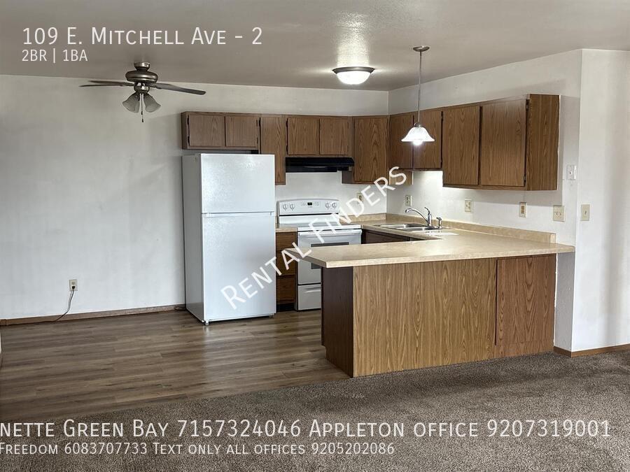 109 E Mitchell Ave in Appleton, WI - Building Photo