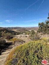 11077 Pacific View Dr in Malibu, CA - Building Photo - Building Photo