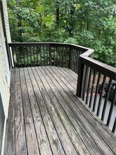 2312 Lancelot Ln in Harrisonburg, VA - Building Photo - Building Photo