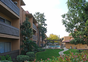 Cerro Vista in San Diego, CA - Building Photo - Building Photo