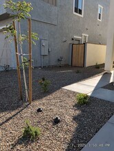 4514 S Pasteur in Mesa, AZ - Building Photo - Building Photo