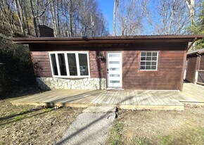 124 Tilley Rd in Vilas, NC - Building Photo