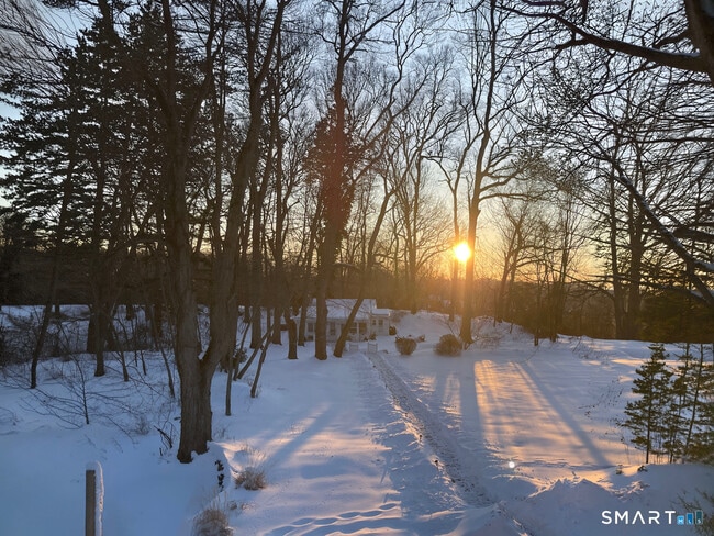 property at 44 Roseville Rd