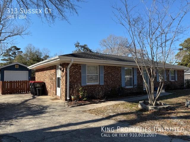 313 Sussex Ct in Wilmington, NC - Building Photo - Building Photo