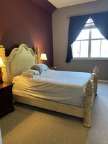 5026 Sunridge Palms Dr, Unit 3 in Tampa, FL - Building Photo