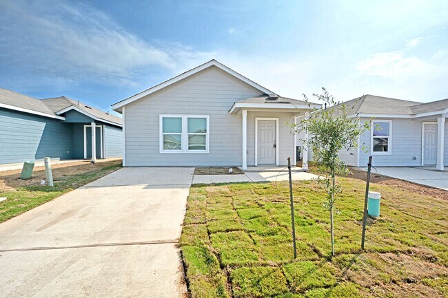 11519 Field Briar