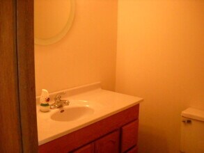 321 Meadow Green Ln in Round Lake Beach, IL - Building Photo - Building Photo