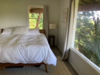 257 Greene St in Mill Valley, CA - Building Photo - Building Photo