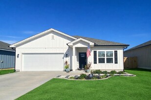 5730 Friesian Dr in Bellview, FL - Building Photo