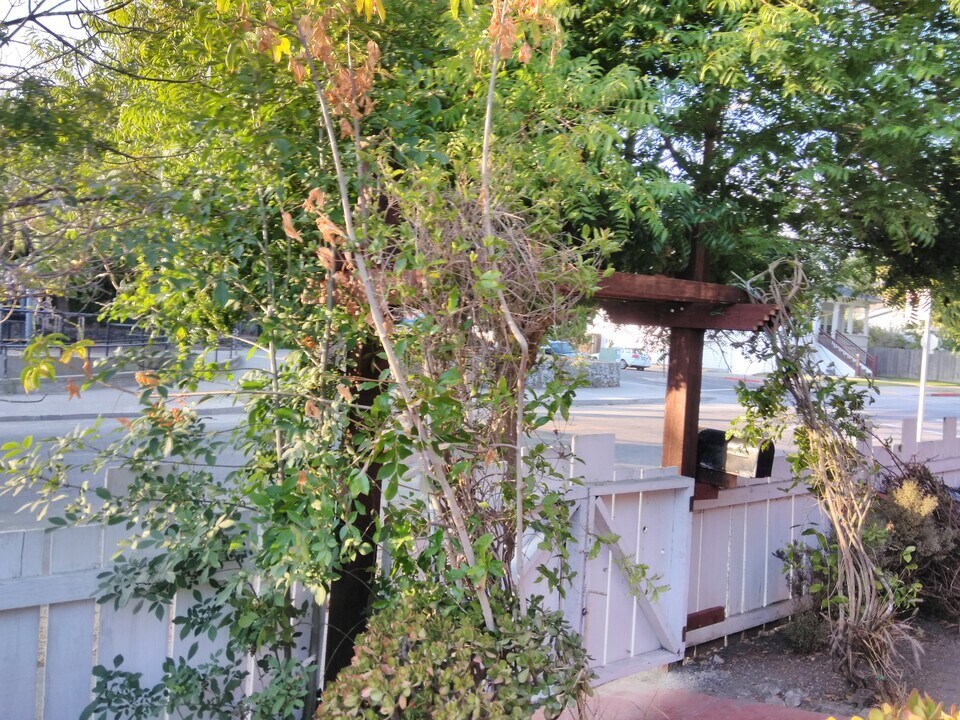 1252 Haskell St, Unit #1252 in Berkeley, CA - Foto de edificio