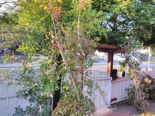 1252 Haskell St, Unit #1252