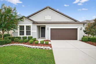 30514 Pecan Valley Loop in Wesley Chapel, FL - Building Photo - Building Photo