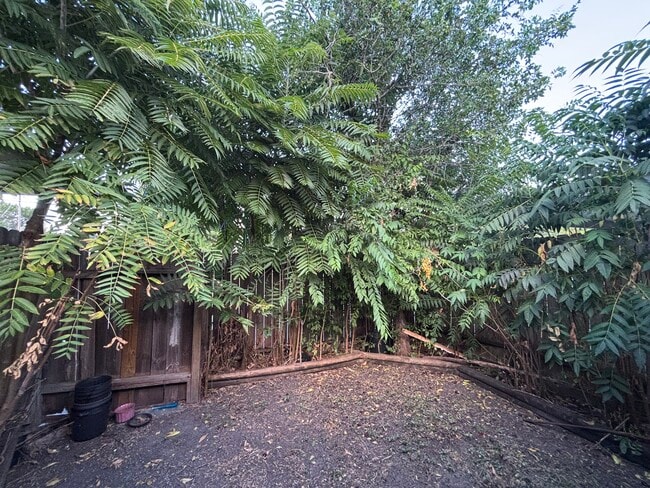 property at 12803 High Star Dr