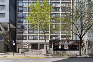 230 E Ontario St in Chicago, IL - Building Photo