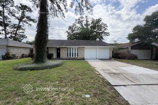 23435 Verngate Dr in Spring, TX - Building Photo