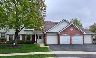 323 Sheffield Ct in Roselle, IL - Building Photo