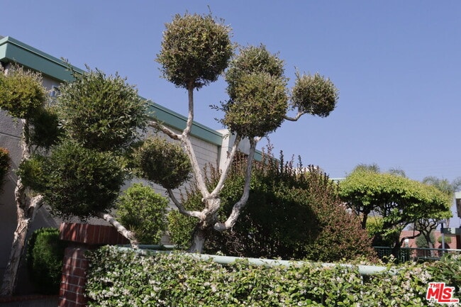 5301 Balboa Blvd in Los Angeles, CA - Foto de edificio - Building Photo