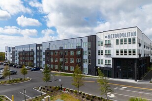 The Metropolitan Tampa in Tampa, FL - Building Photo