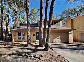 164 Maple Branch St in Spring, TX - Building Photo