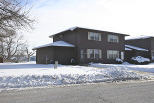 2028 Kevin Dr in Montgomery, IL - Building Photo