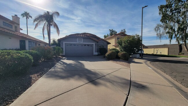 8817 E Dahlia Dr in Scottsdale, AZ - Building Photo - Building Photo