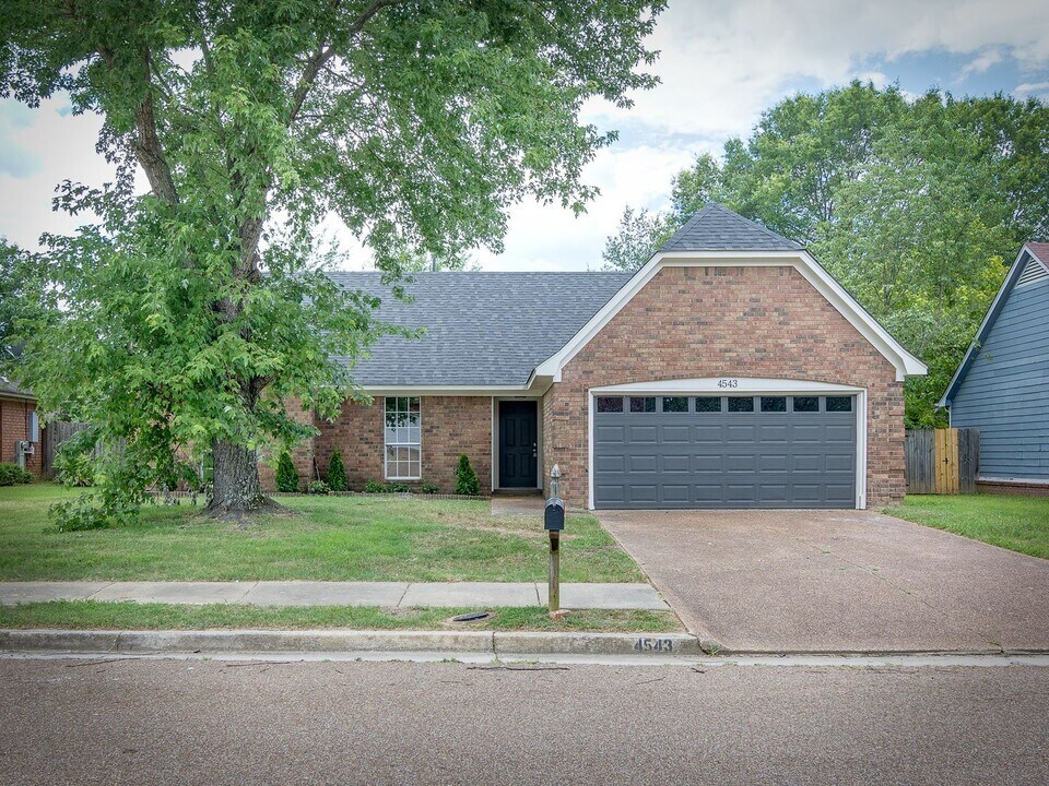 4543 Bassett Hall Dr in Memphis, TN - Building Photo