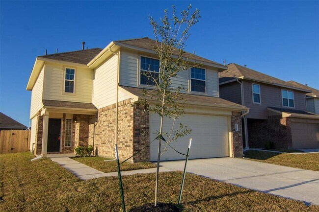 24250 Avogadro Dr in Katy, TX - Building Photo - Building Photo