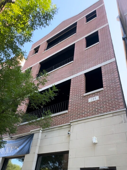 221 E 31st St in Chicago, IL - Building Photo